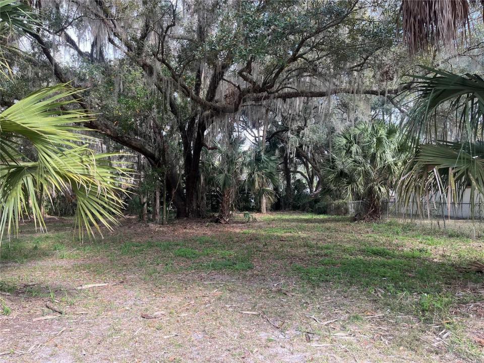 0 SE 183rd Avenue, Florida 32640, USA