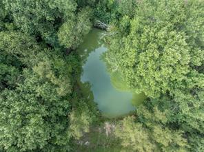 6841 State Highway 154 E, Gilmer, Texas 75645, HOA KỲ