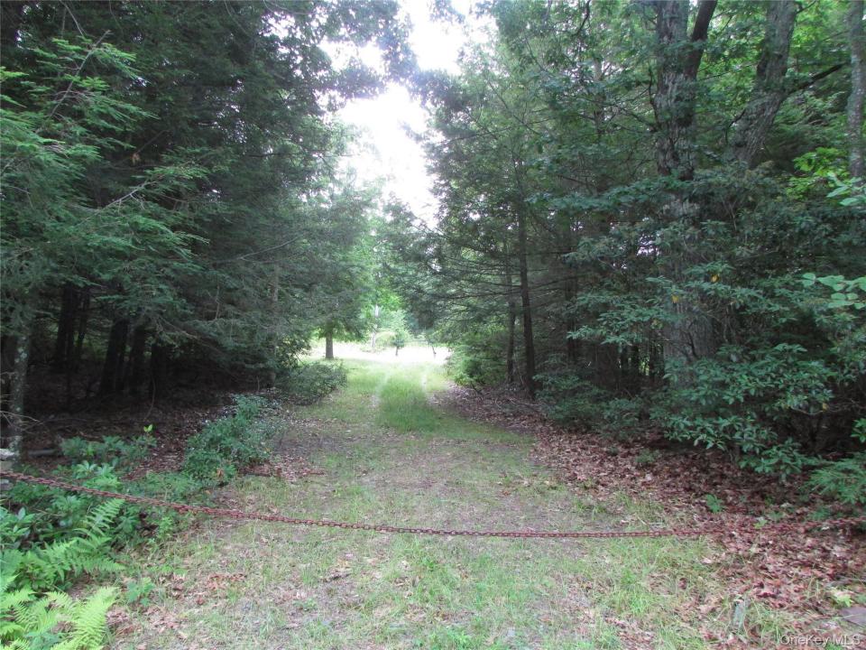 Fox Hill Road Tr 55, Fallsburg, Nueva York 12733, Estados Unidos