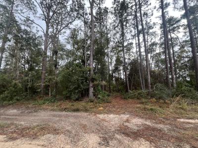 Tbd susan Street, Interlachen, فلوريدا 32148, الولايات المتحدة