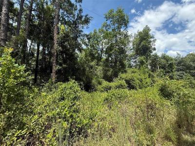 313 CALHOUN Avenue, Florahome, Florida 32140, Estados Unidos