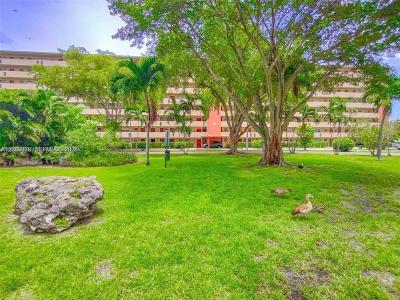 1710 NE 191st St 103-3, Miami, Florida 33179, USA