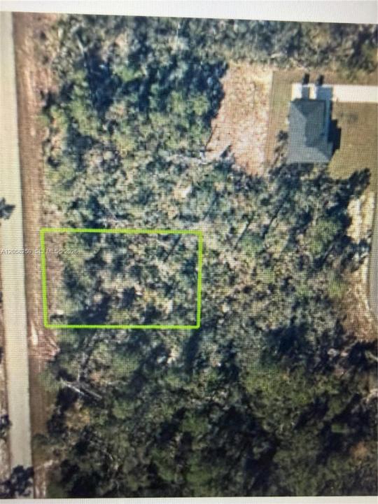 108 NE DOMINICA AVE, Lake Placid, Floride 33852, États-Unis