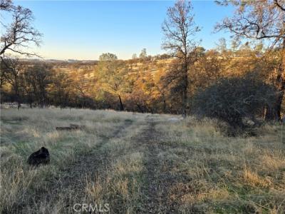Avacado Road, Bangor, California 95914, Estados Unidos