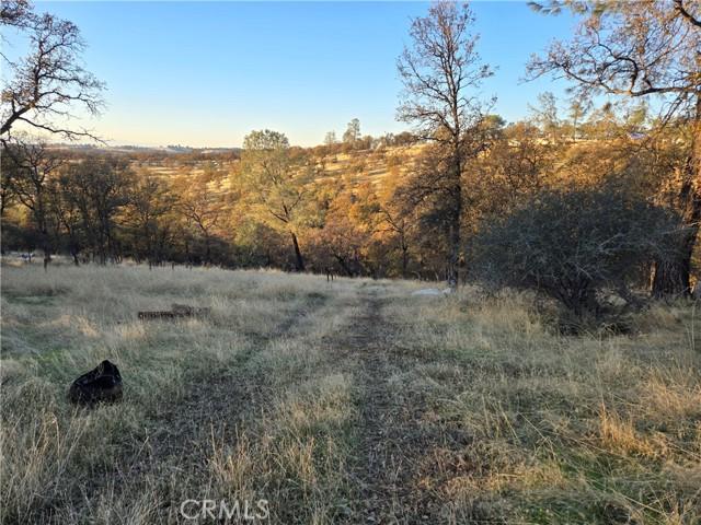 Avacado Road, Bangor, California 95914, HOA KỲ