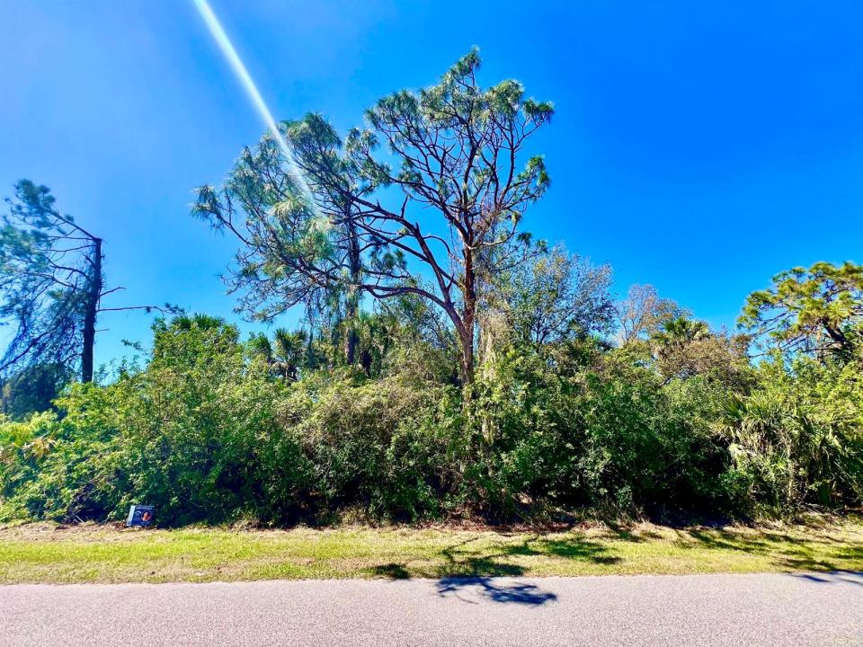 12142 Joyner Avenue, Port Charlotte, Florida 33953, Stati Uniti