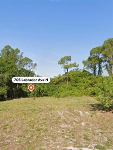 705 LABRADOR AVE N, Lehigh Acres, Florida 33971, USA