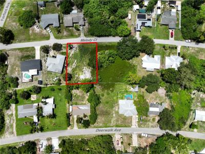 228 MELODY CT, Lake Placid, Florida 33852, USA