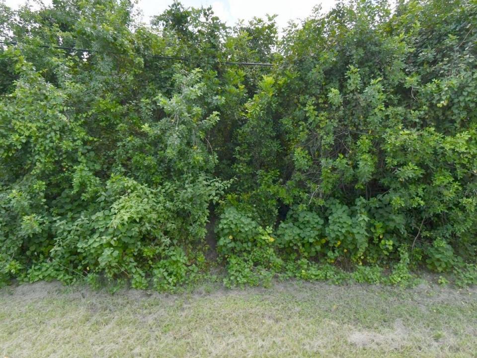 3025 SW COLLINGS Drive, Port St. Lucie, Floride 34953, États-Unis