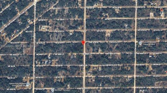 Lot 15 NE 67th Place, Williston, Florida 32696, HOA KỲ
