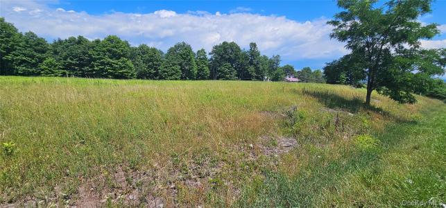 w/s Divine Corners Road, Fallsburg, New York 12759, Stati Uniti