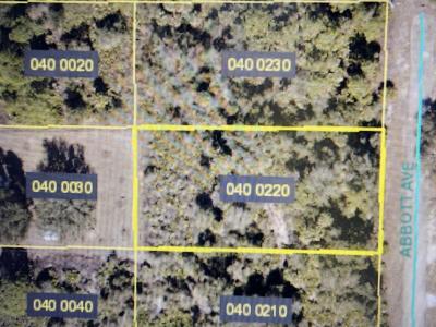 2319 ABBOTT Avenue, Alva, Florida 33920, Stati Uniti