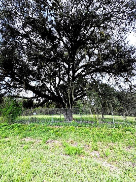 450 S JINETE Street, Clewiston, Floride 33440, États-Unis
