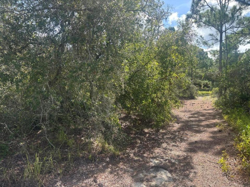336 Stardust Avenue, Lake Placid, Floride 33852, États-Unis