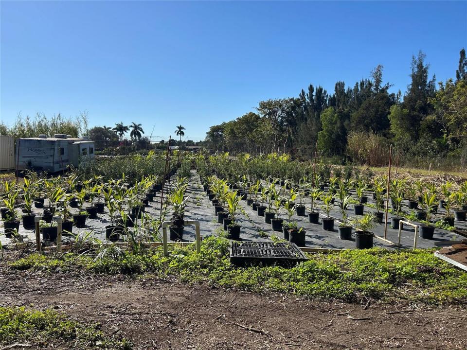 5225 SW 210th Terrace, Southwest Ranches, Floride 33332, États-Unis
