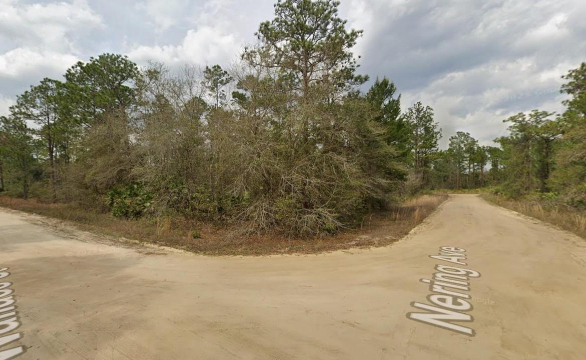 Tbd Wallace Street, Floride 32148, États-Unis