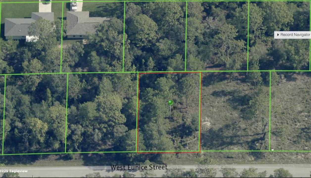 3059 W EUNICE Drive, Florida 34433, Stati Uniti