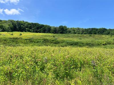 Lot #4 Mountain Road, Greenville, New York 12771, États-Unis