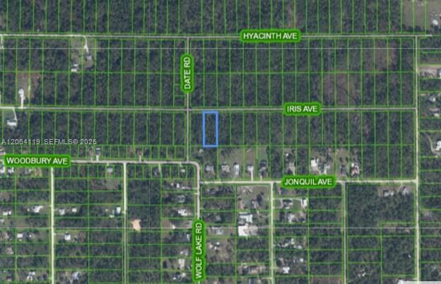 1141 Iris Ave, Sebring, Flórida 33875, Estados Unidos