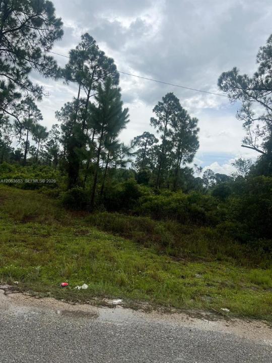 Lehigh Acres, Florida 33974, Stati Uniti