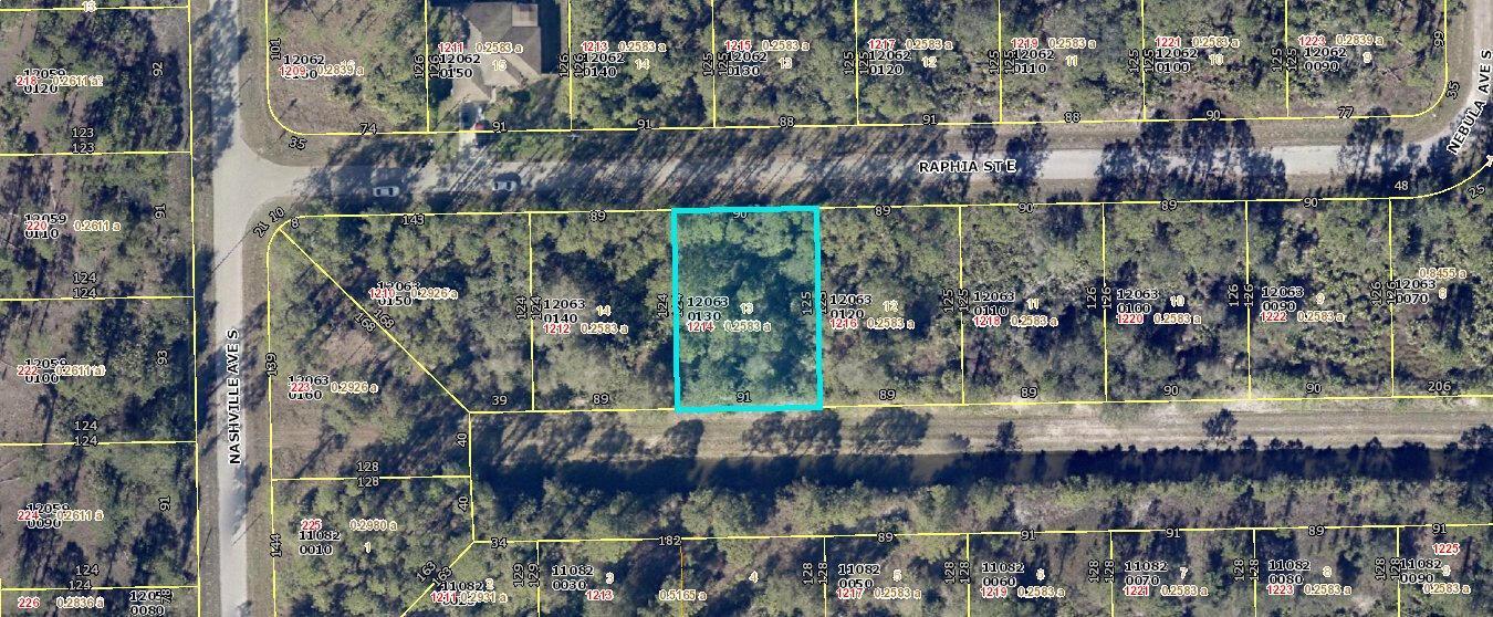 1214 Raphia E Street, Lehigh Acres, Florida 33974, Stati Uniti