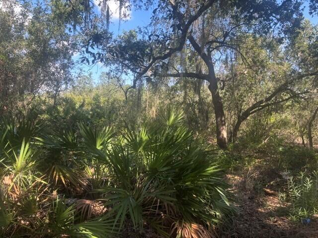 1211 Mayfair Street, Lake Placid, Florida 33852, USA