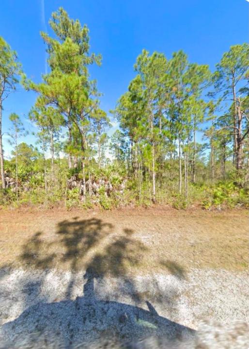 0 Belmonte Dr, Florida 33855, USA