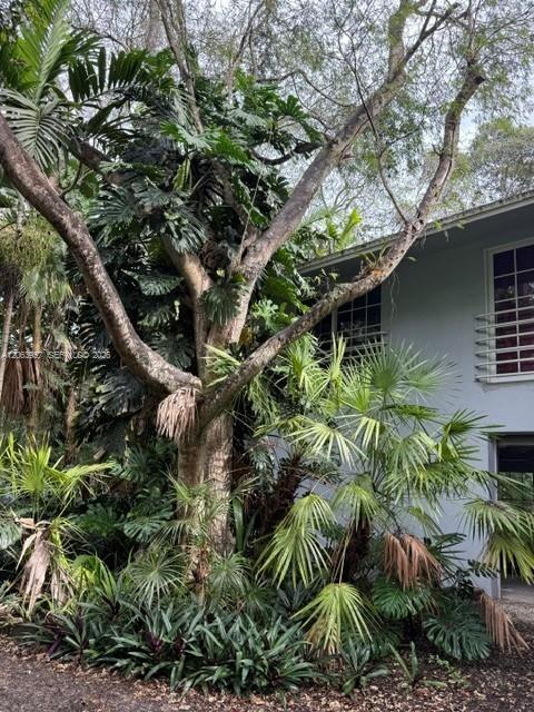 23805 SW 142nd Ave, Miami, פלורידה 33032, ארצות הברית של אמריקה