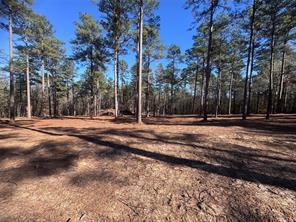 Cotton Lane, Minden, Louisiana 71055, Stati Uniti