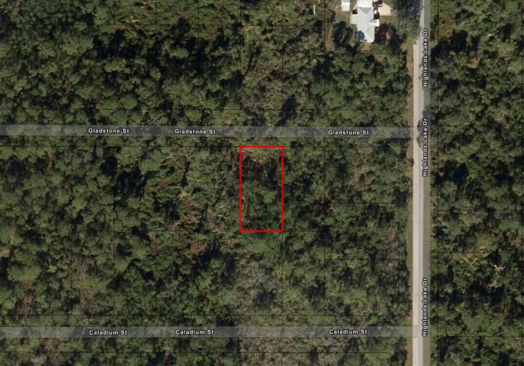 1521 Gladstone Street, Lake Placid, Floride 33852, États-Unis