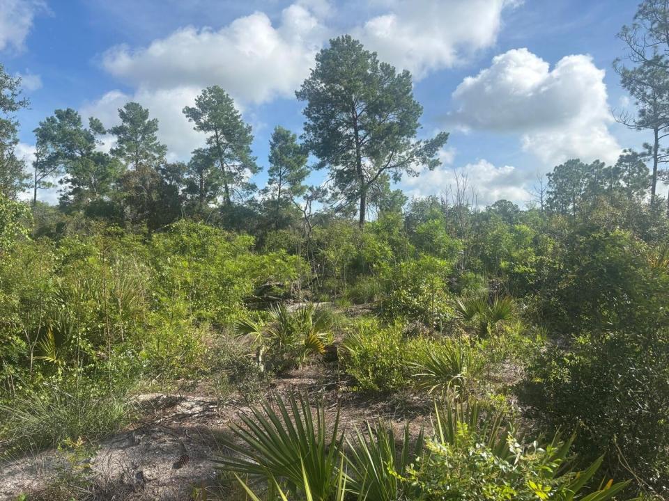 284 Rhapsody Avenue, Lake Placid, Florida 33852, Stati Uniti