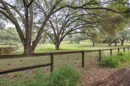 0 LAKE ELLA RD, Florida 34731, USA