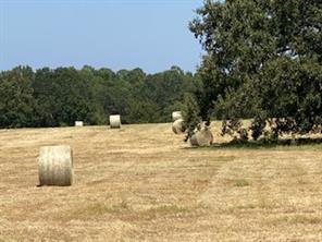 2141 Rs County Road 2250, Alba, Texas 75410, Stati Uniti