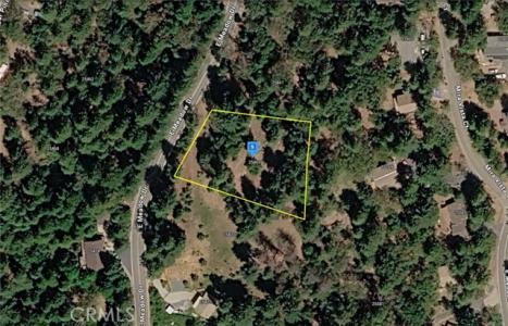 E Meadow Drive, Pioneer, Californie 95666, États-Unis