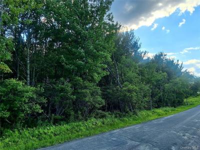 Burnt Ridge Road, Fallsburg, New York 12733, Stati Uniti