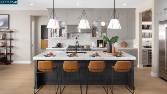 Island Lane, Tracy, California 95377