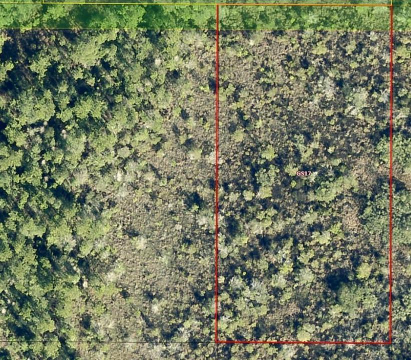 0 Salyers Road, Floride 34736, États-Unis