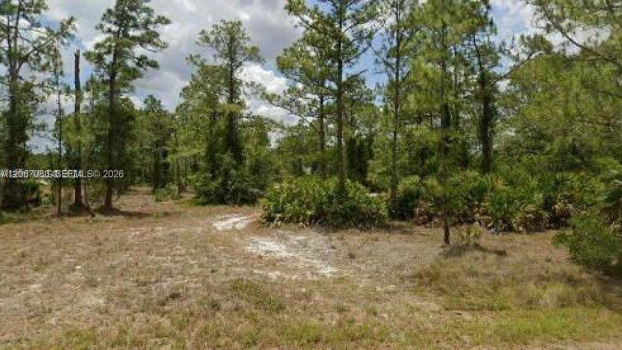 2321 Macarthur Ave, Lehigh Acres, Florida 33920, Stati Uniti