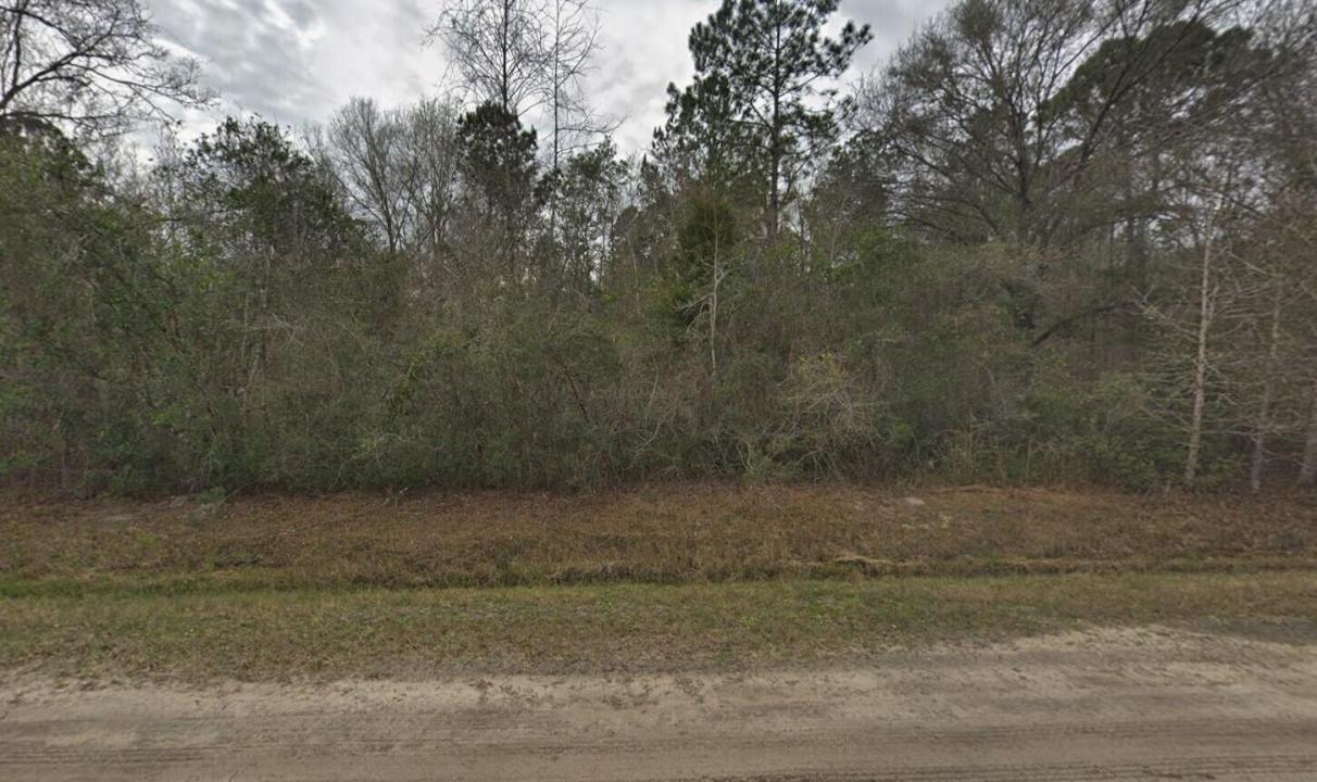 10135 Nikolich Avenue, Floride 32145, États-Unis