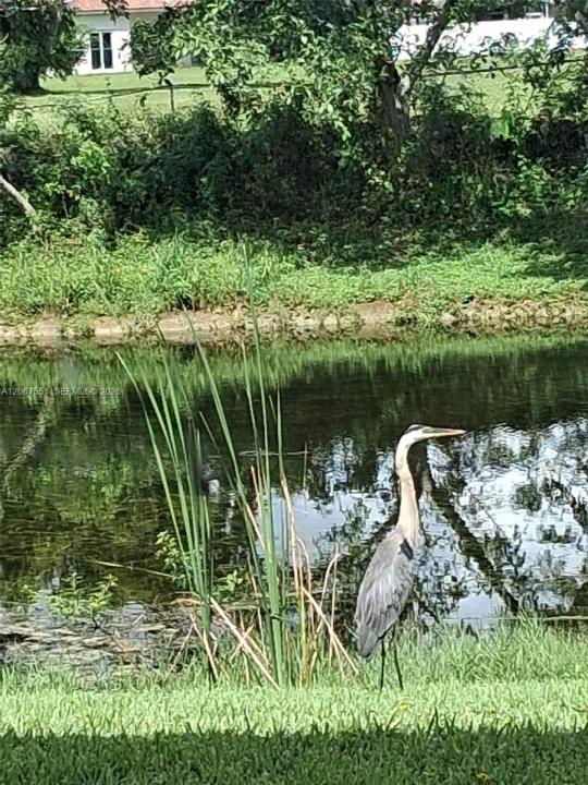 6870 Royal Palm Blvd 111M, Margate, Floride 33063, États-Unis