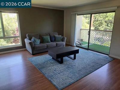 N Civic Dr, Walnut Creek, California 94596, Stati Uniti