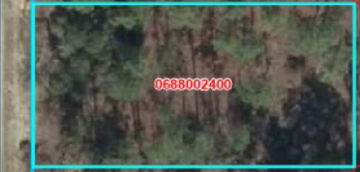 000 SE 134th SE Court, Flórida 34431, Estados Unidos