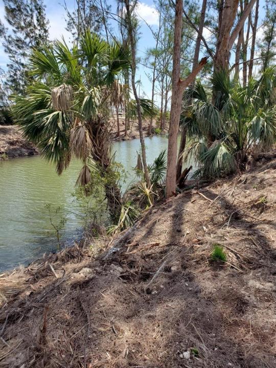 3905 NE 9TH Avenue, Cape Coral, Floride 33909, États-Unis