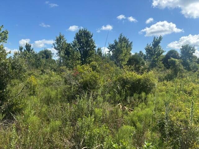 0 NW 312th Street, Okeechobee, Floride 34972, États-Unis