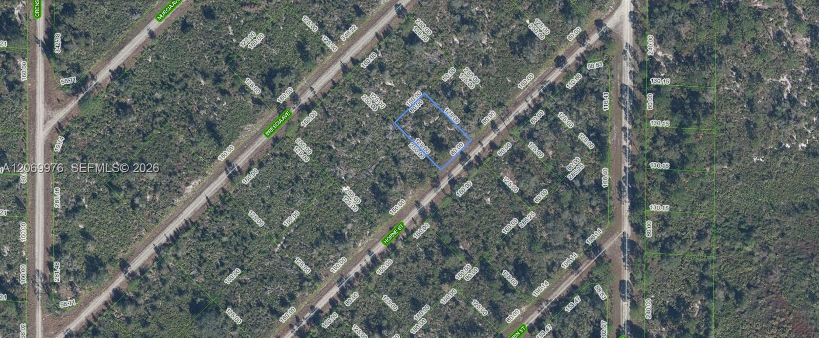 3451 Lake June, Lake Placid, Floride 33852, États-Unis