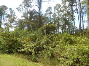 1207 Dayton Avenue, Lehigh Acres, Floride 33972, États-Unis