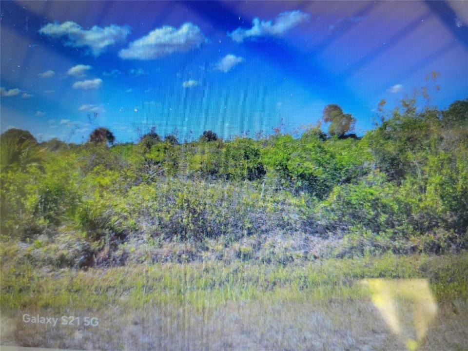 20165 NW 278TH Street, Okeechobee, Florida 34972, Stati Uniti
