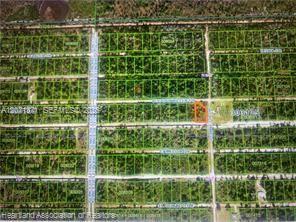 0 Bougainvillea Drive, Lake Wales, Floride 33898, États-Unis