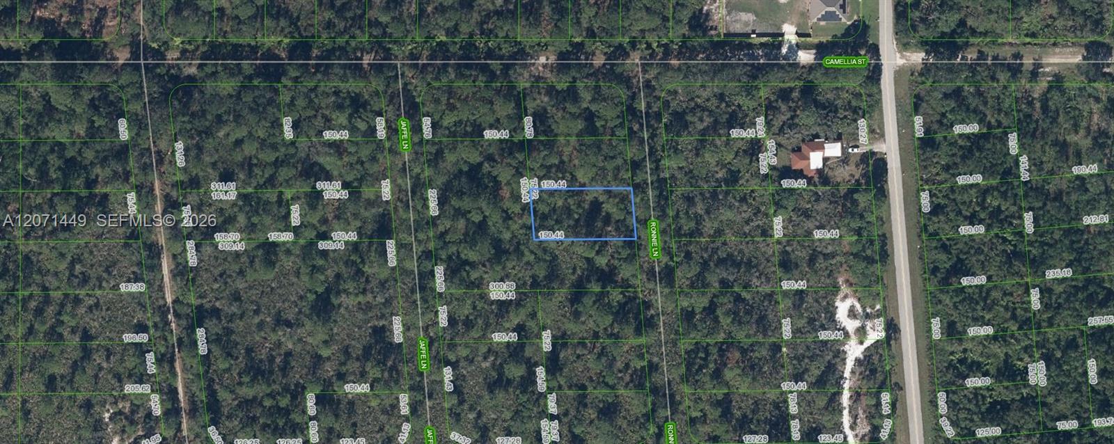 722 Ronnie Lane, Lake Placid, Floride 33852, États-Unis