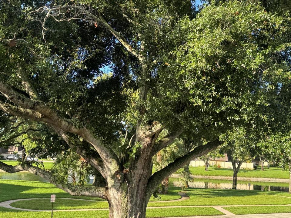 7224 72ND Way, West Palm Beach, Floride 33407, États-Unis